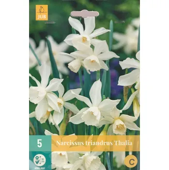 Cibulovina Narcis Triandrus Thalia (bílý) 5 cibulí