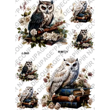 Umělecký papír Rýžový a soft papír na decoupage - Sova na knihách - KB03683 Materiál: Soft, Rozměr: A4