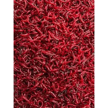 Krmivo pro rybičky PATENTKA VELKÁ JUMBO 500G(NOVINY)