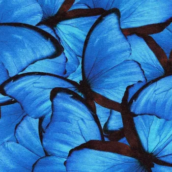 Moraviatex Jednolíc elastický bavlna/Elastan 6% digi tisk MOTÝL modrý