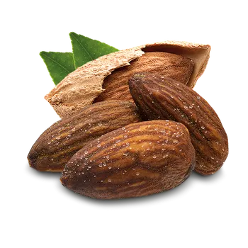 Sušená potravina Natural Pack Mandle pražené solené ve slupce 500 g