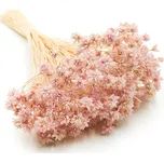 mech-mech.cz Sušená Hill Flower - lila