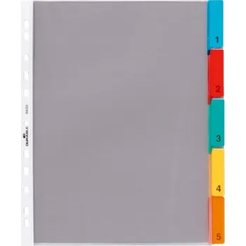 Archivační box DURABLE 6630, Rozdružovač s 5 barevnými rozlišovači, transparentní