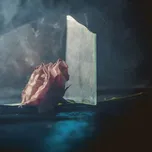 LEE RANALDO - In Virus Times Ltd. LP (STUMM471)