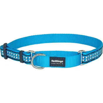 Obojek pro psa Obojek RED DINGO Bones polostahovák reflexní Tyrkysová Velikost: obvod krku 25-39cm / š. 15mm