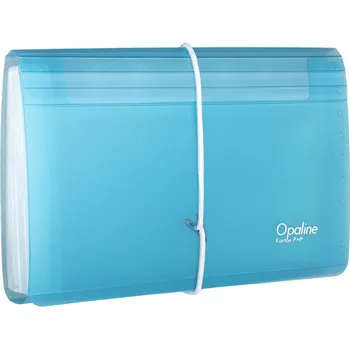 Oxybag Organizér na dokumenty s gumou DL Opaline čirá-modrá