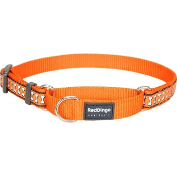 Obojek pro psa Obojek RED DINGO Bones polostahovák reflexní Oranžová Velikost: obvod krku 32-47cm / š. 20mm