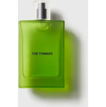 Unisex parfém Alexmonhart The Thinker EDP 100 ml UNISEX