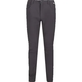 Pánské kalhoty Regatta Kennick Pánské outdoorové kalhoty RMJ275R Popel 32