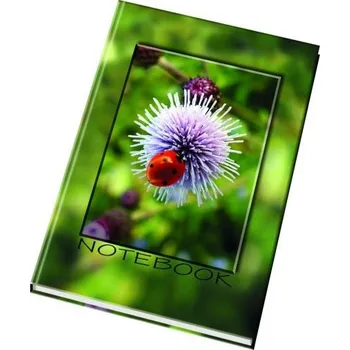 Papírny Brno Záznamní kniha A5 čistá lepená, 100 listů