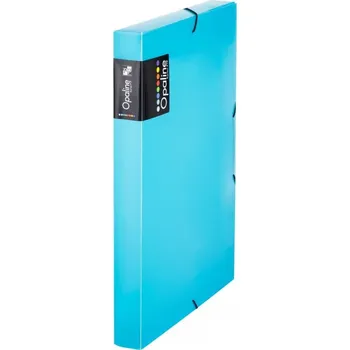 Kancelářské potřeby Karton P+P Box na spisy A4 OPALINE s gumičkou, hřbet 3 cm, mint