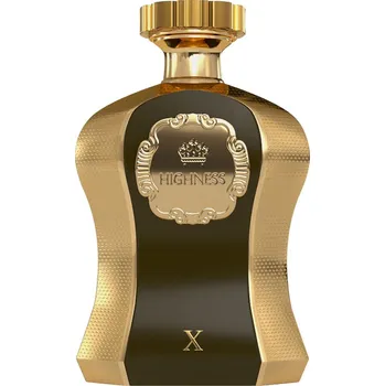 Pánský parfém Afnan Highness X EDP 100 ml M