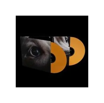 Zahraniční hudba 2LP Roger Waters: The Dark Side Of The Moon Redux CLR | LTD 2023 Orange Coloured Vinyl Limited Edition