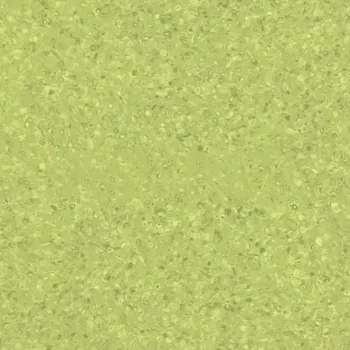 pvc podlaha Graboplast Zátěžové PVC Fortis - Kiwi / šíře 2 m Šíře role: 2 m