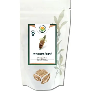 Salvia Paradise Psyllium černé celé 200g
