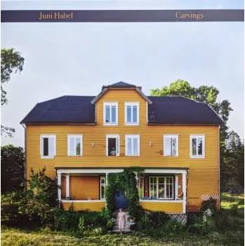 Zahraniční hudba LP Juni Habel: Carvings 2023 180g Vinyl