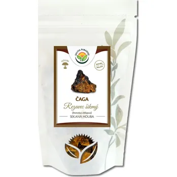 Přírodní produkt Salvia Paradise Čaga - chaga - rezavec šikmý 10 g
