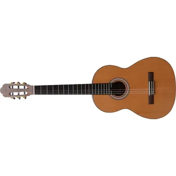 Klasická kytara Kytara klasická Prodipe Guitars Flamenco Levostranná