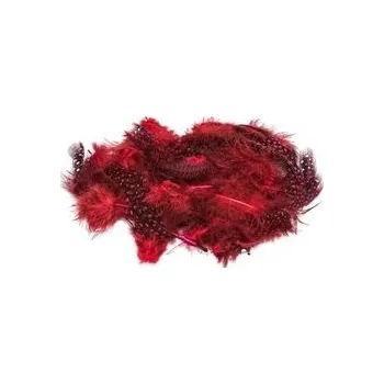 Set školních potřeb Piórka nakrapiane czerwone 3g