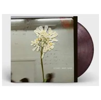 Zahraniční hudba LP Daughter: Stereo Mind Game 2023 Eco Coloured Vinyl