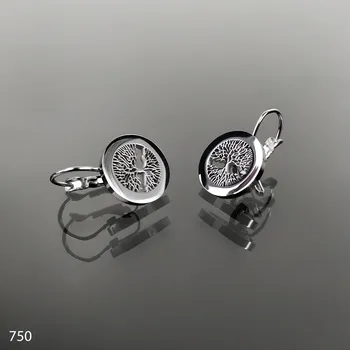 Náušnice Ocelové náušnice č. 750