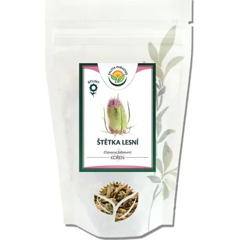 Přírodní produkt Salvia Paradise Štětka lesní kořen 10 g