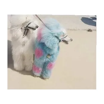 Zahraniční hudba LP Exek: Advertise Here 2022