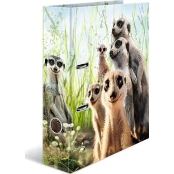 Set školních potřeb Segregator Surykatki 7cm