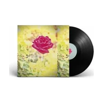 Zahraniční hudba LP Lambchop: Trip 2020 180g Vinyl