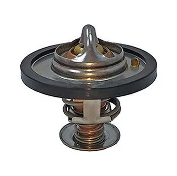 Těsnění motoru Termostat, chladivo MOTORAD 363-91K