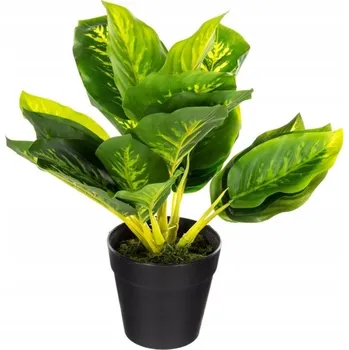 umělá květina UMĚLÁ ROSTLINA KALATEA V KVĚTINÁČI DEKORACE 30cm