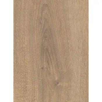 vinylová podlaha Podlahové panely WILD WOOD GOLD PLUS DUB PÍSKOVÝ AC6 12mm bal. 1,65 m2