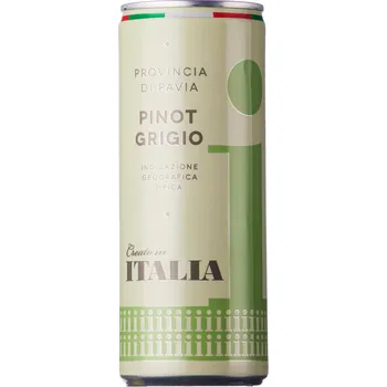 Italia Pinot Grigio IGT plech suché 0,25l