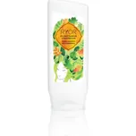 Ryor Hair Care bylinný šampon s panthenolem 200 ml
