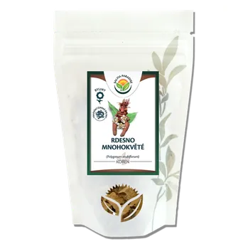 Přírodní produkt Salvia Paradise Rdesno mnohokvěté kořen 10 g