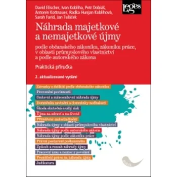 Náhrada majetkové a nemajetkové újmy - Petr Dobiáš, David Elischer, Ivan Kobliha, Radka Hunjan Koblihová, Antonín Kottnauer, Jan Tuláček