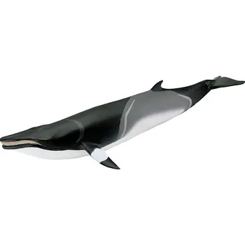 Figurka Safari Ltd. Figurka - Plejtvák Minke