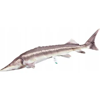 plyšák Gaby Polštář 60 cm jeseter