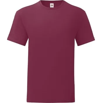 Pánské tričko Pánské ikonické Tričko [41] Fruit of the Loom XXL