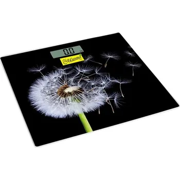 Obraz Osobní koupelnová váha ze skla pampeliška | Maestro MR-1828