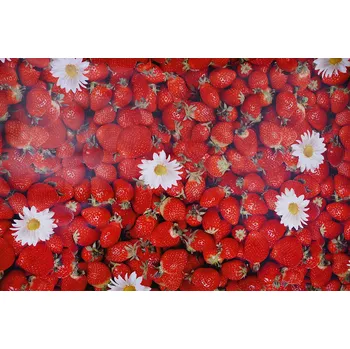 ubrus PVC ubrus JAHODA 140x160 cm