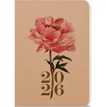 Baloušek Tisk David Kraft A5 denní 2026…