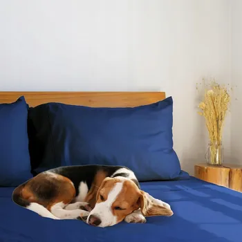 Prostěradlo Prostěradlo s gumou LuxClub bavlna 140 x 200 cm