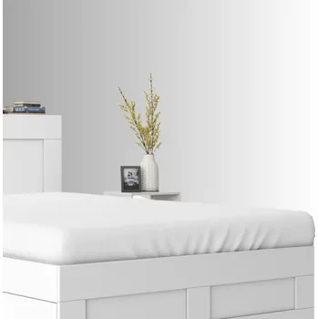 Prostěradlo Froté prostěradlo s Gumou 90x200 Bílé