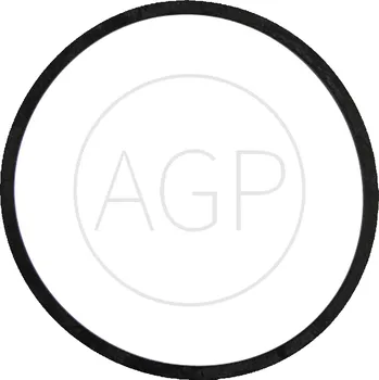 Těsnění pro plovák karburátoru na motor Briggs & Stratton