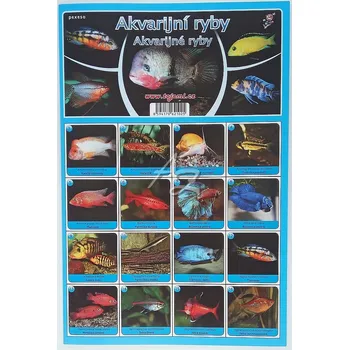 Pexeso MP pexeso Akvarijní ryby