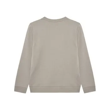 Pánská mikina Calvin Klein Jeans Mikina Inst Logo IU0IU00680 D Šedá Regular Fit 16Y