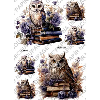 Umělecký papír Rýžový a soft papír na decoupage - Sova na knihách - KB03691 Materiál: Soft, Rozměr: A4