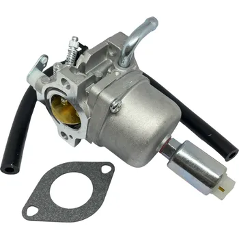 Zahradní technika Karburátor pro motor Briggs & Stratton na typy 31A500, 31A600, 31A700, 31R700, 31R800, 31S700 včetně těsnění a hadičky