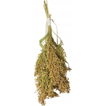 Krmivo pro hlodavce JR Farm pamlsky bylinky 0,1 kg pro křeček, myši, pískomily, potkany